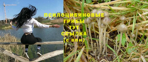 экстази Новодвинск