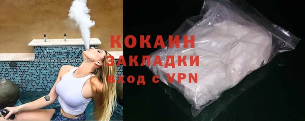 гидра Сясьстрой
