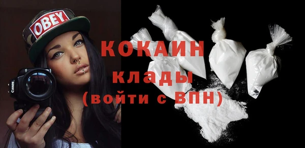 2c-b Новозыбков