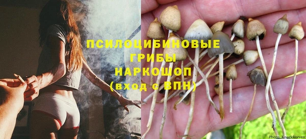 2c-b Новозыбков