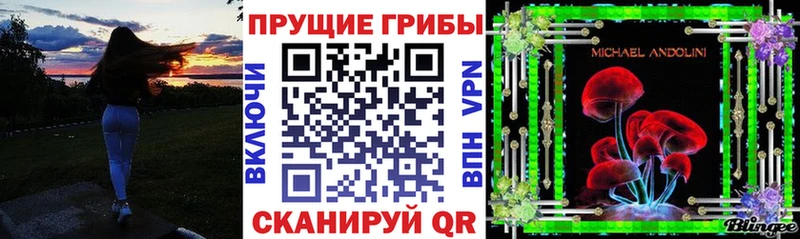 Псилоцибиновые грибы Psilocybine cubensis  Абдулино 